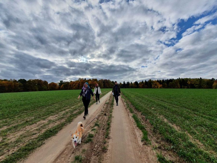 Дорога в Лавру 8.10
