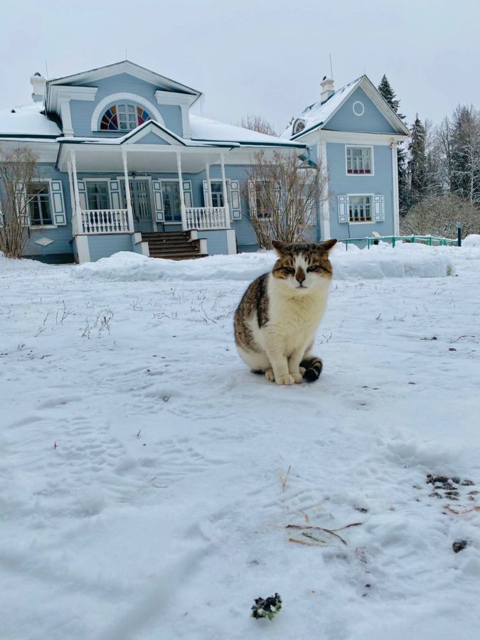 Три усадьбы. Разведка, 28 ноября