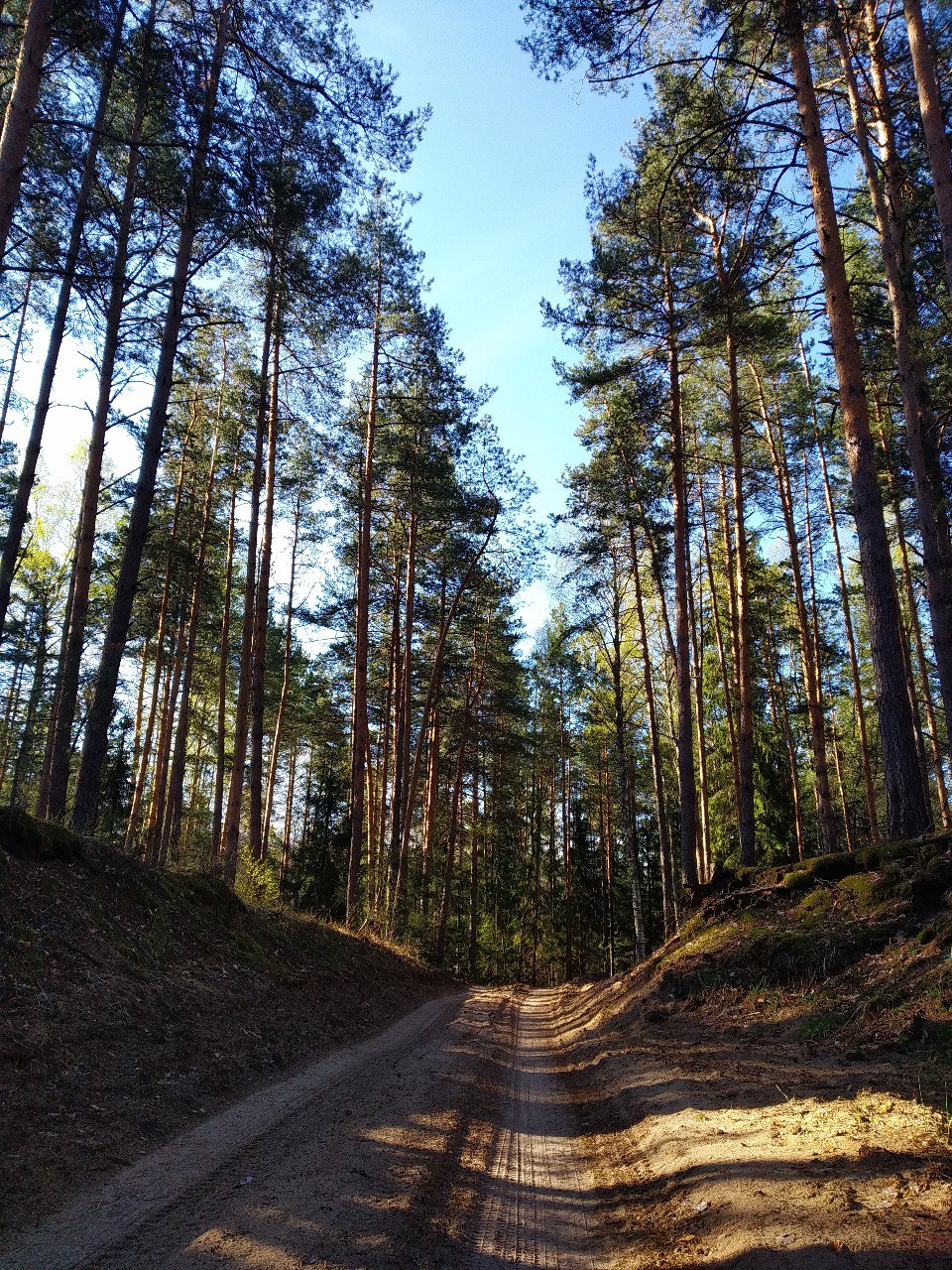 37 Шатурских километров