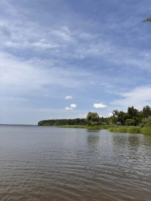 Учинское
